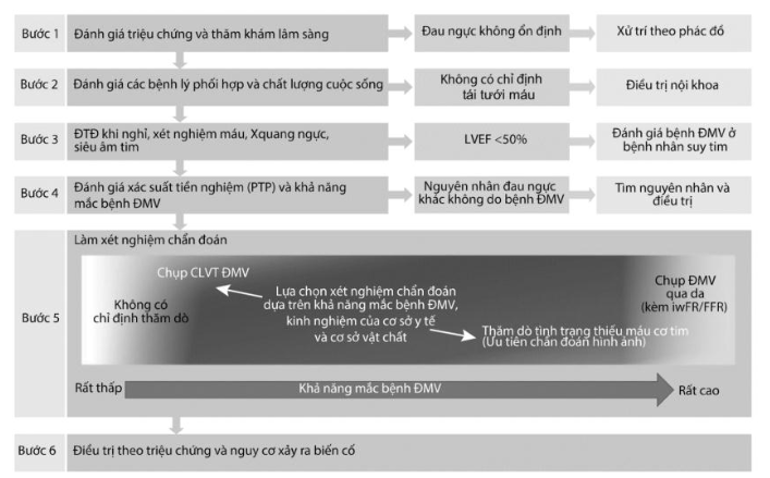 Có 6 bước tiếp cận bệnh nhân đau ngực nghi do bệnh mạch vành